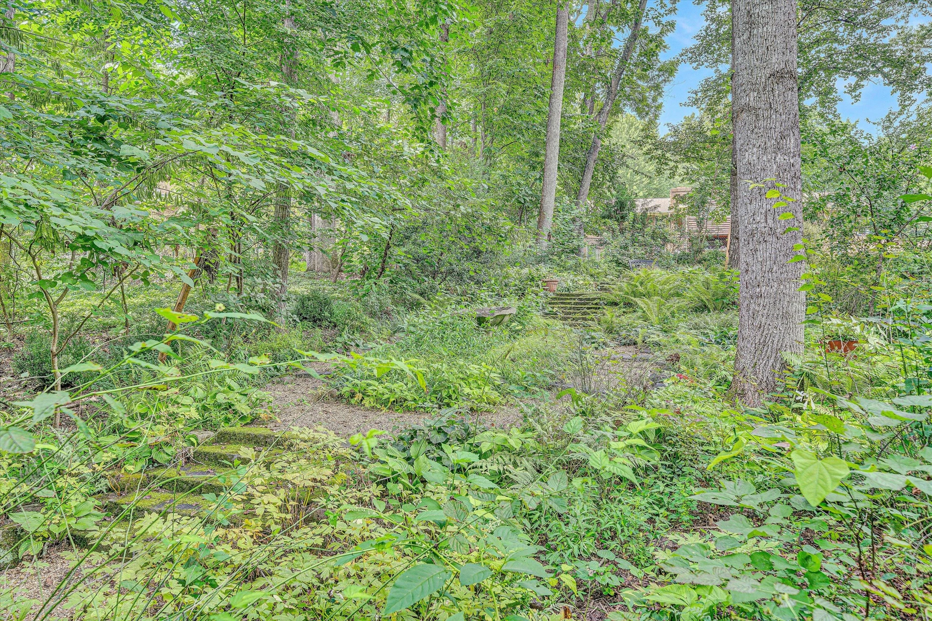 6536 Woodbrook DR - Photo 61