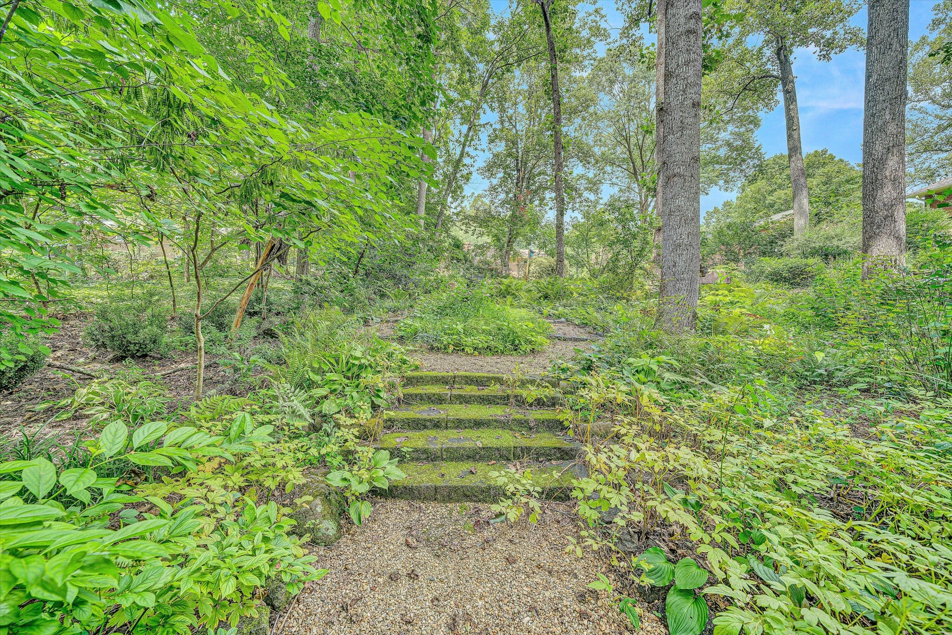 6536 Woodbrook DR - Photo 62