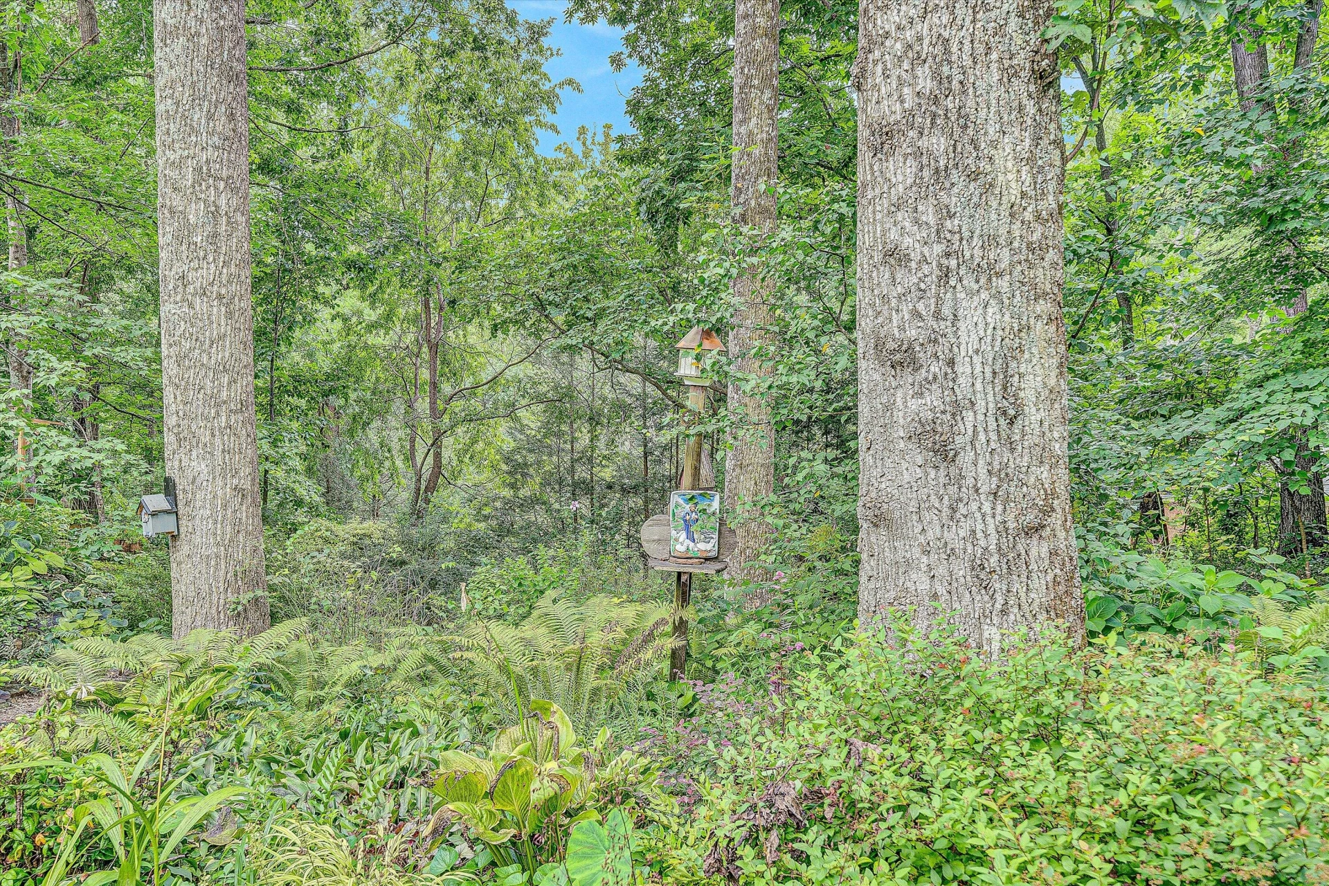 6536 Woodbrook DR - Photo 66