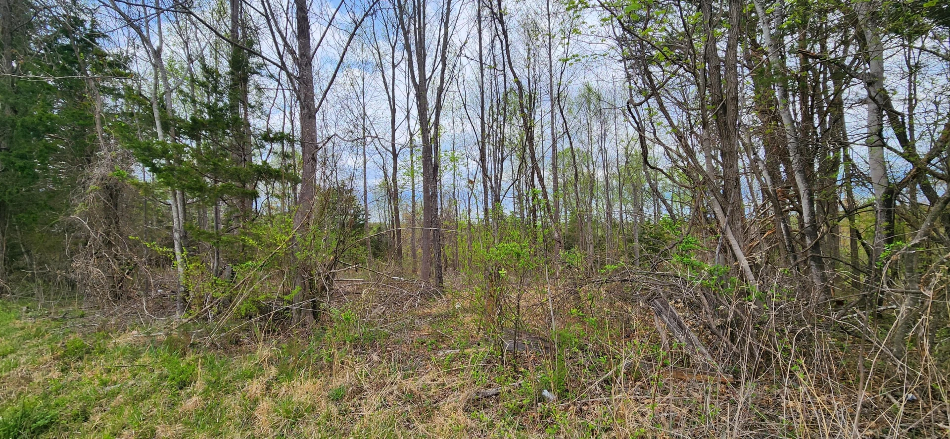 000 Webster RD - Photo 2
