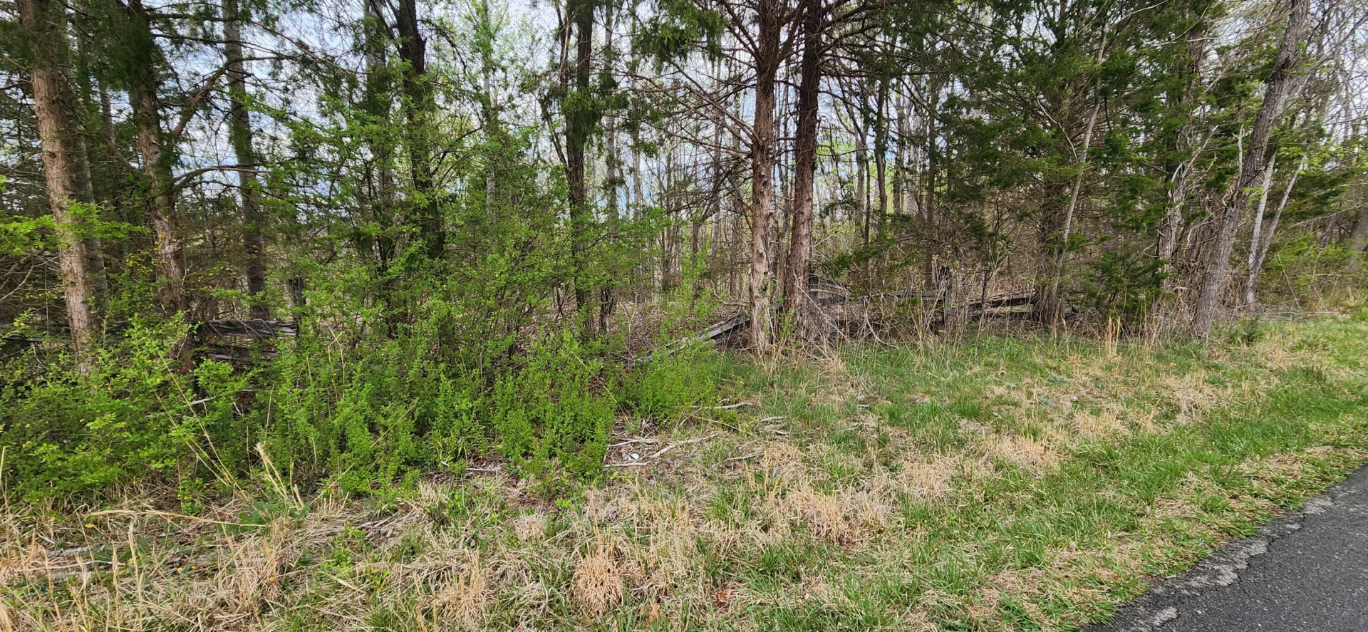 000 Webster RD - Photo 3