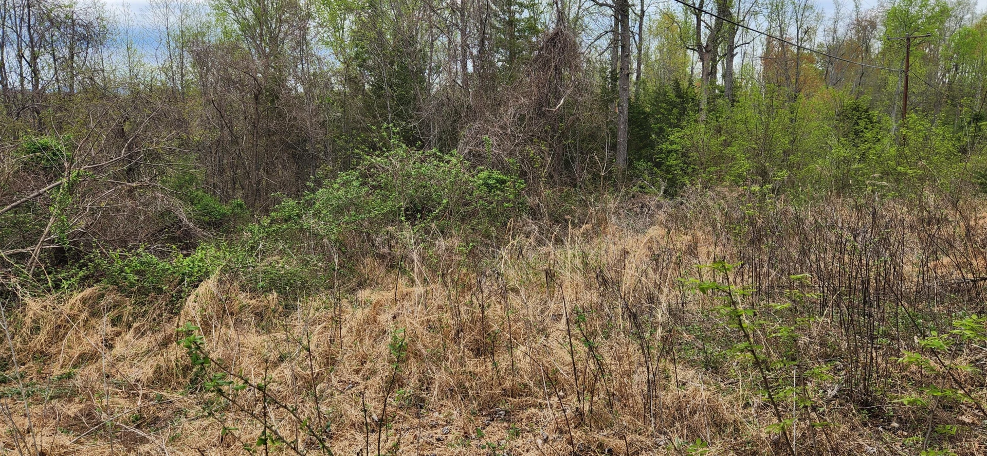 000 Webster RD - Photo 4