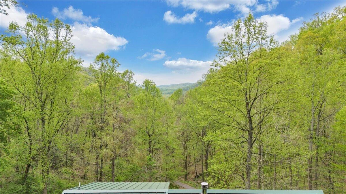 13357 Callaway RD - Photo 52