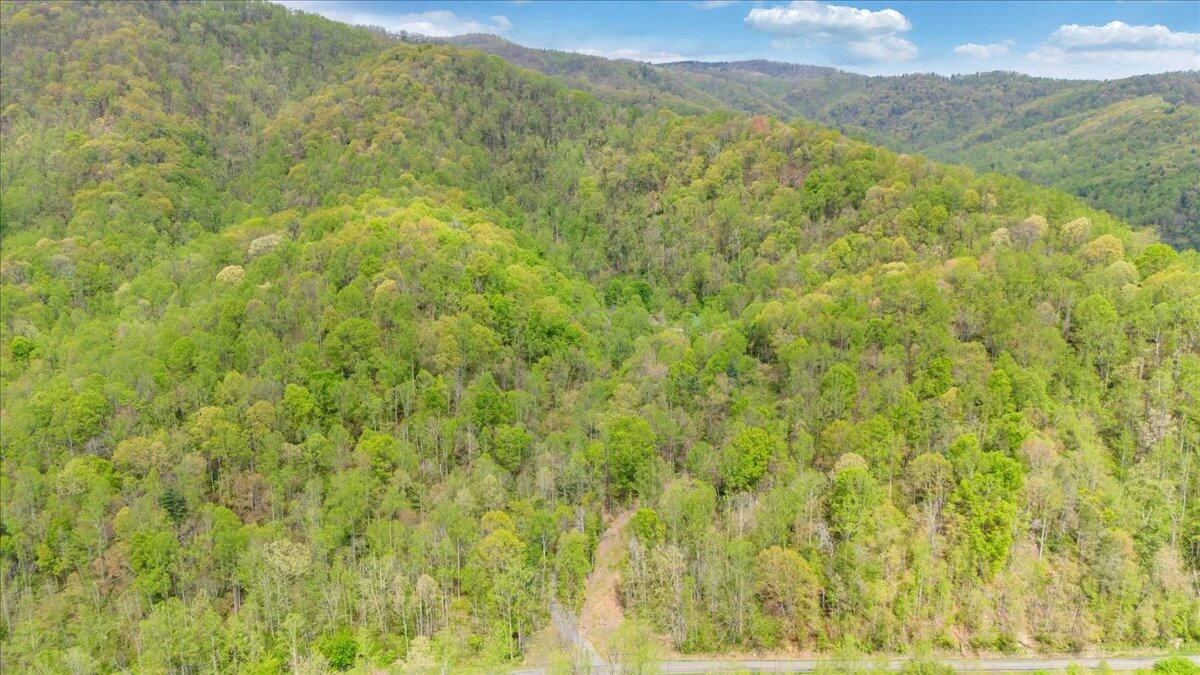 13357 Callaway RD - Photo 54