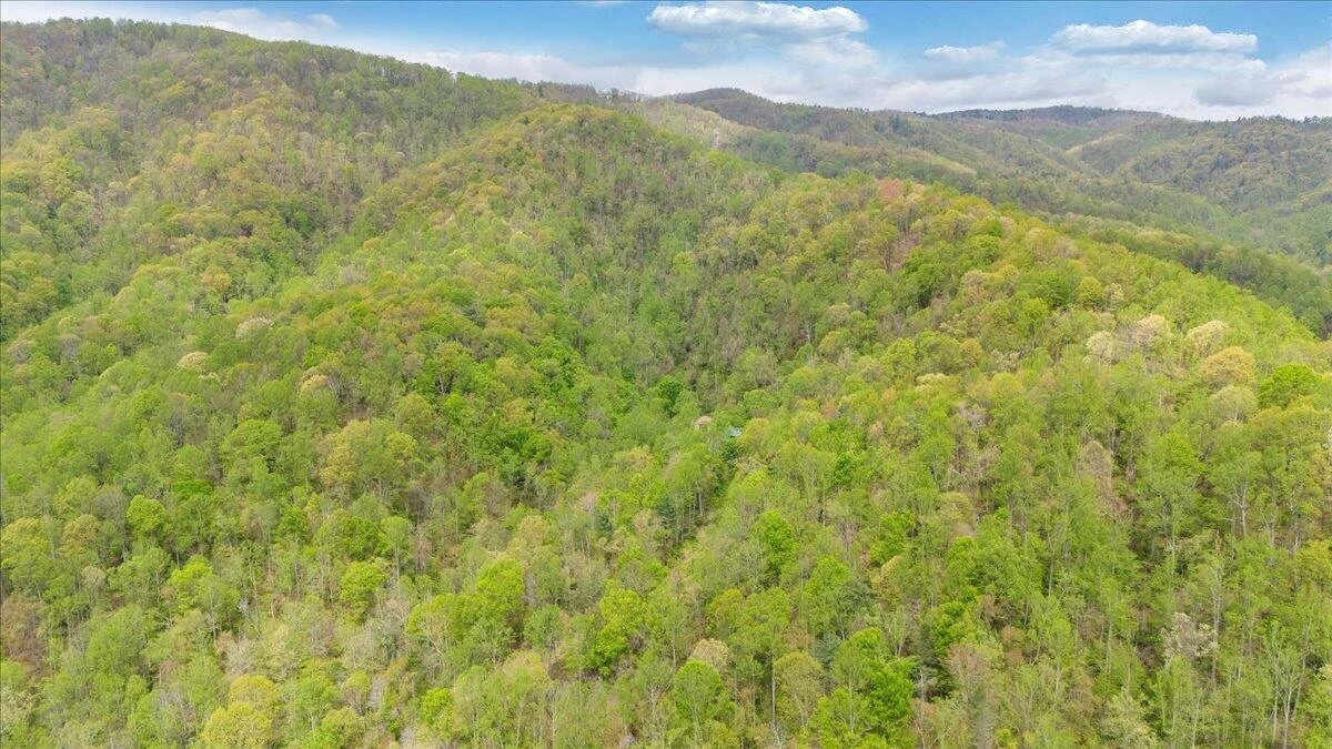 13357 Callaway RD - Photo 56