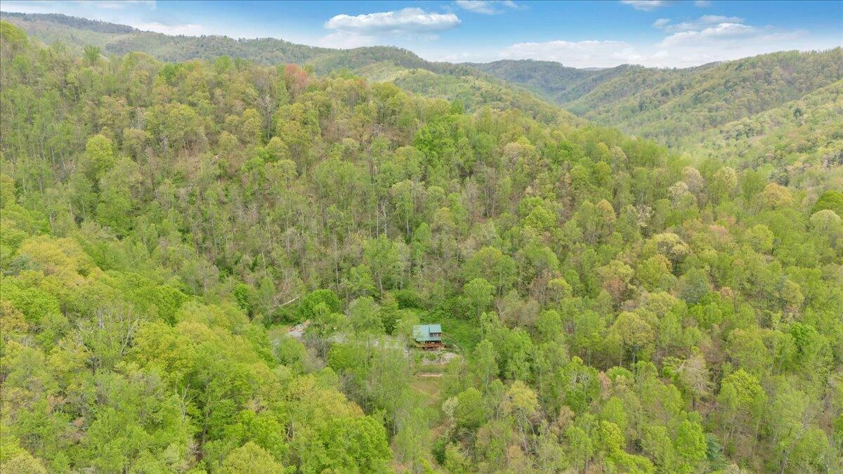 13357 Callaway RD - Photo 58