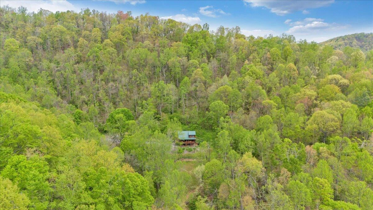 13357 Callaway RD - Photo 59