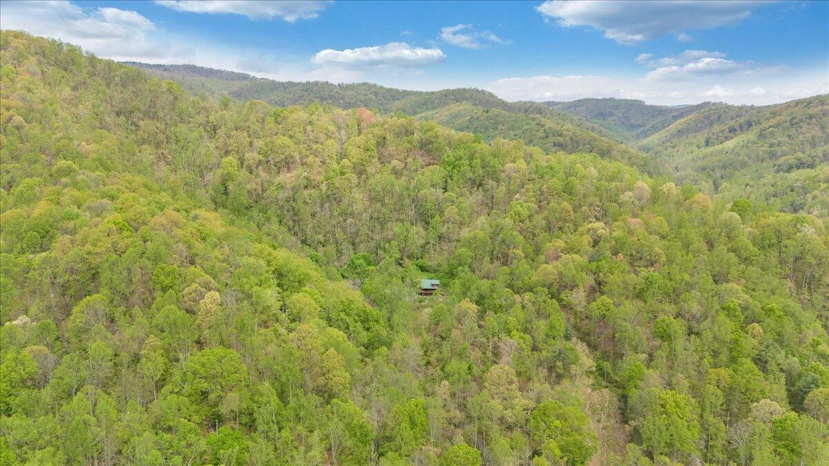 13357 Callaway RD - Photo 60