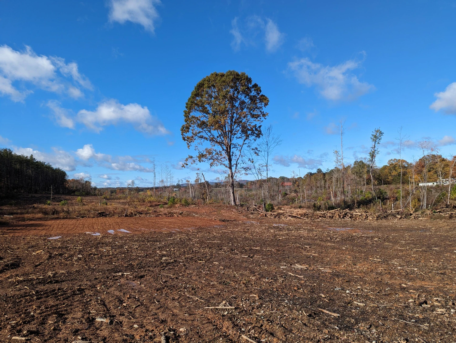 0 Walker RD - Photo 11