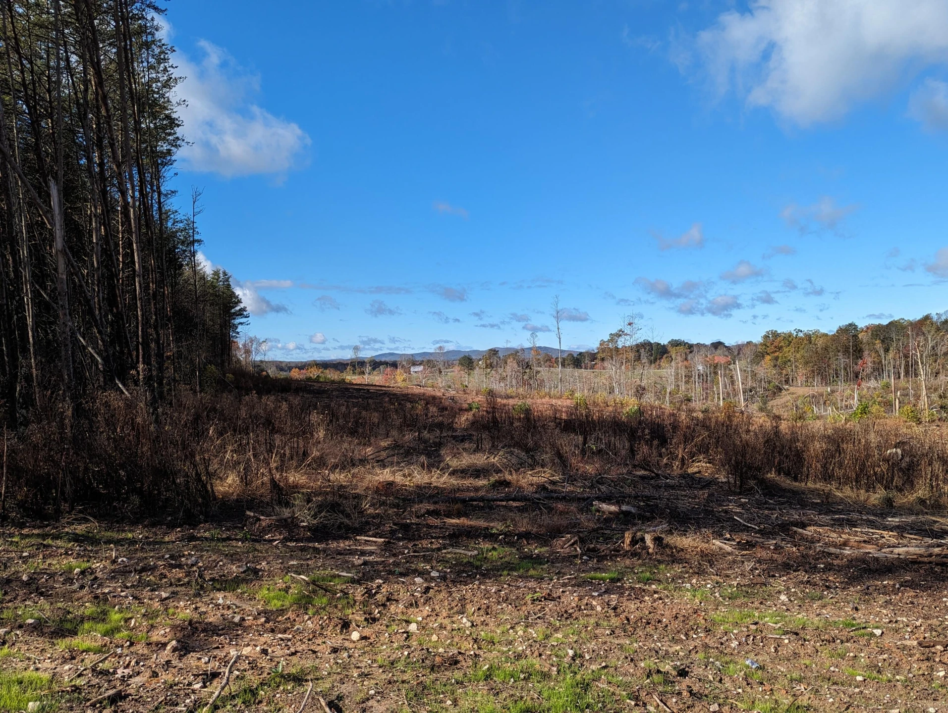 0 Walker RD - Photo 15