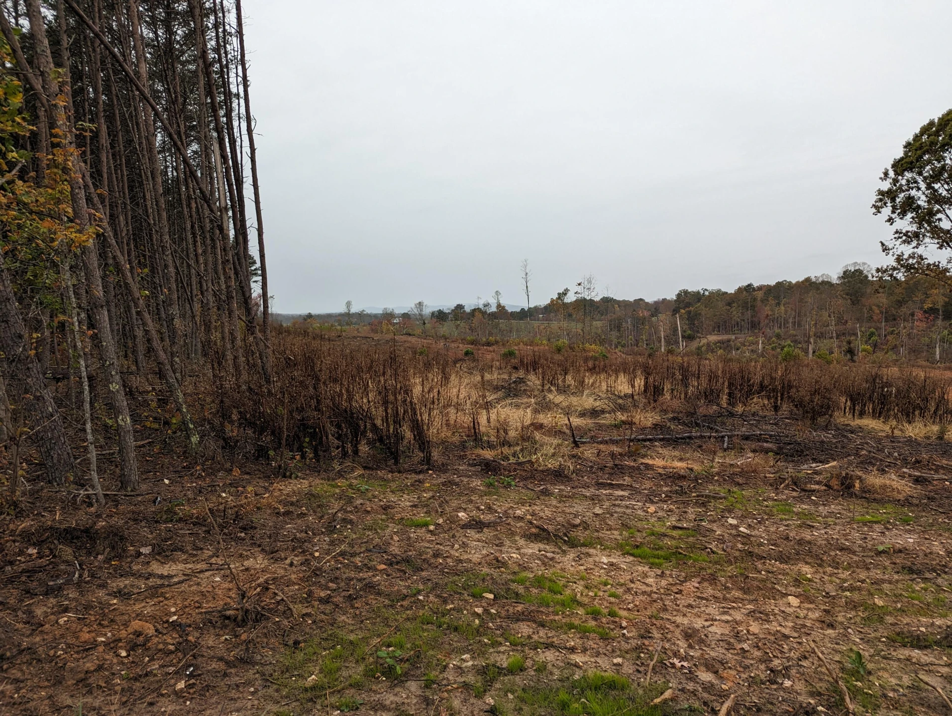 0 Walker RD - Photo 25