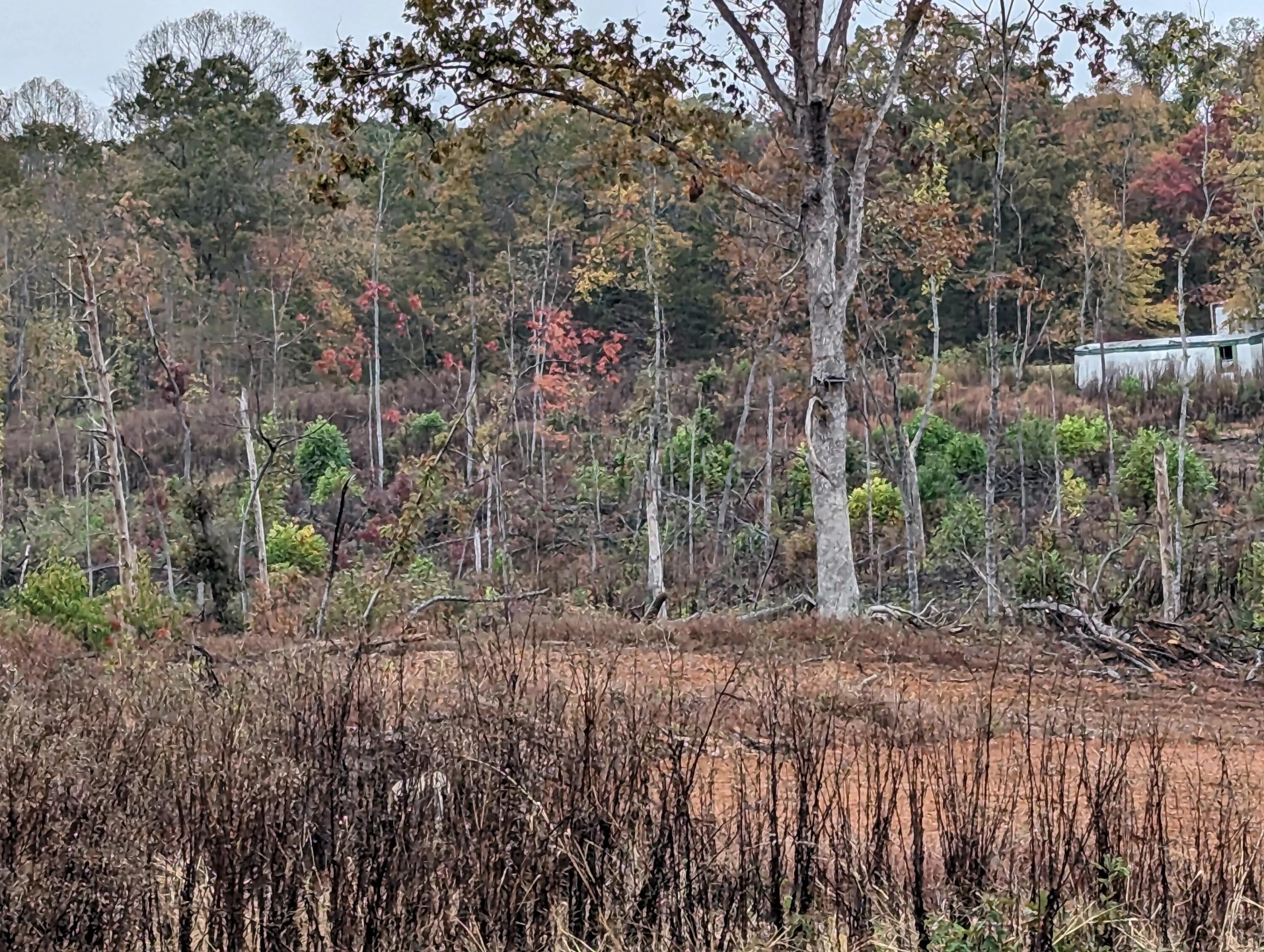 0 Walker RD - Photo 26