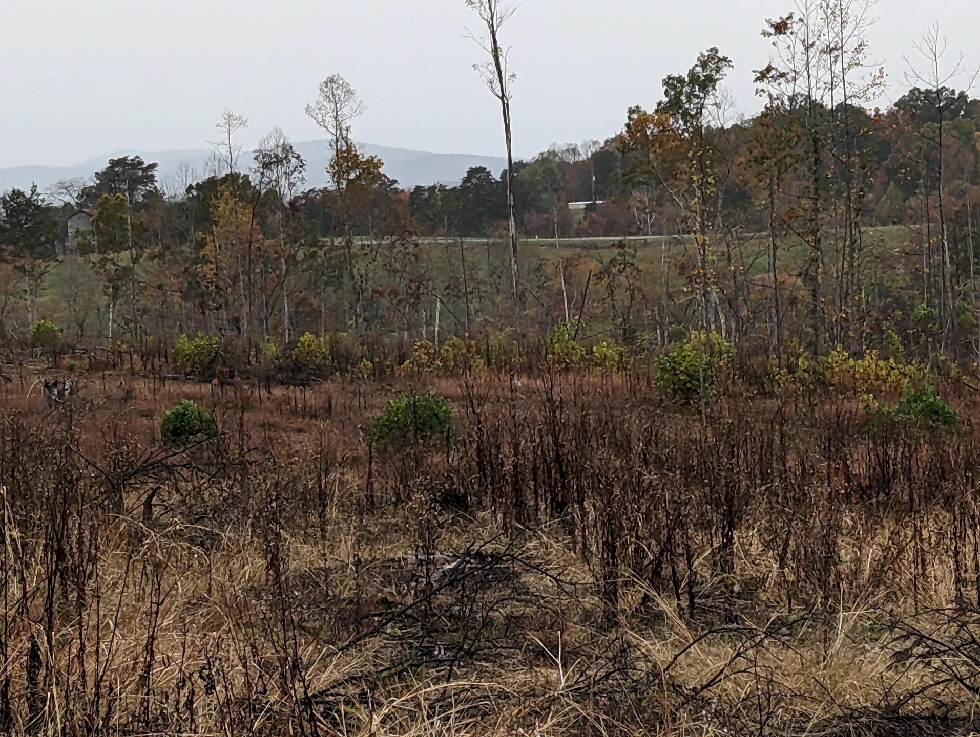 0 Walker RD - Photo 27