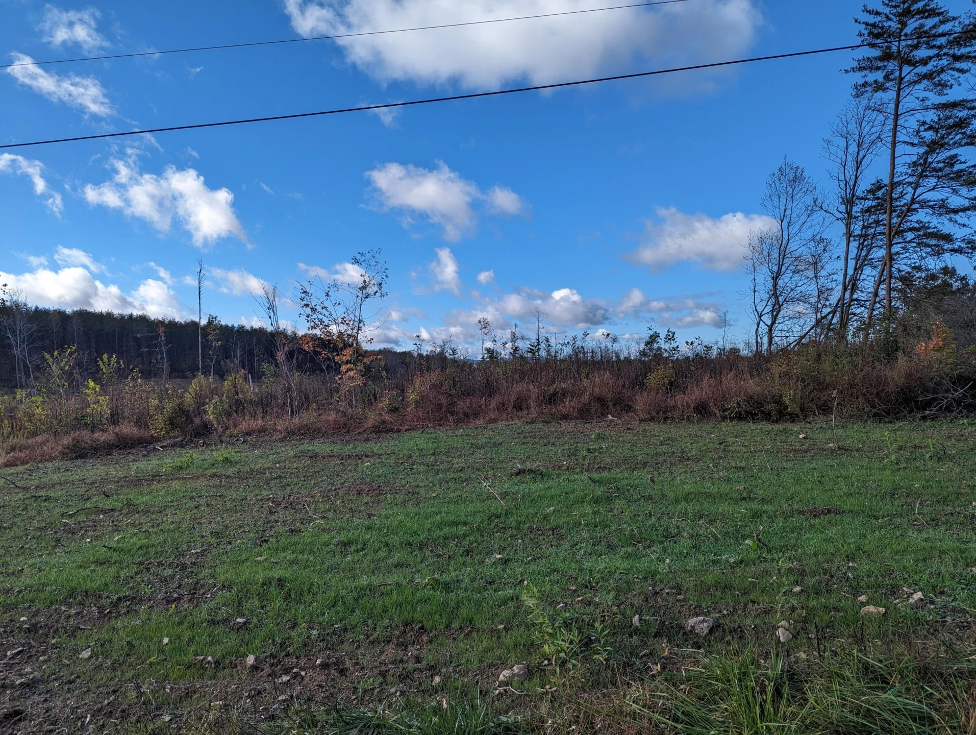 0 Walker RD - Photo 3