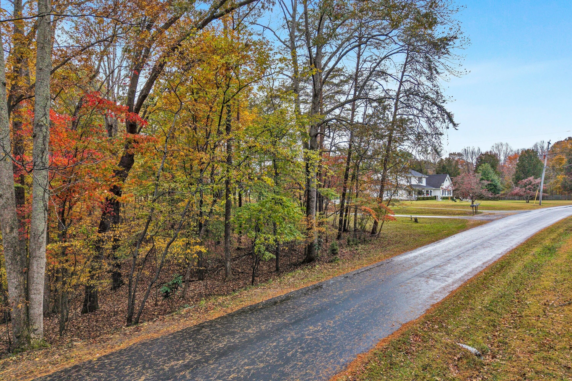0 Thomason LN - Photo 4
