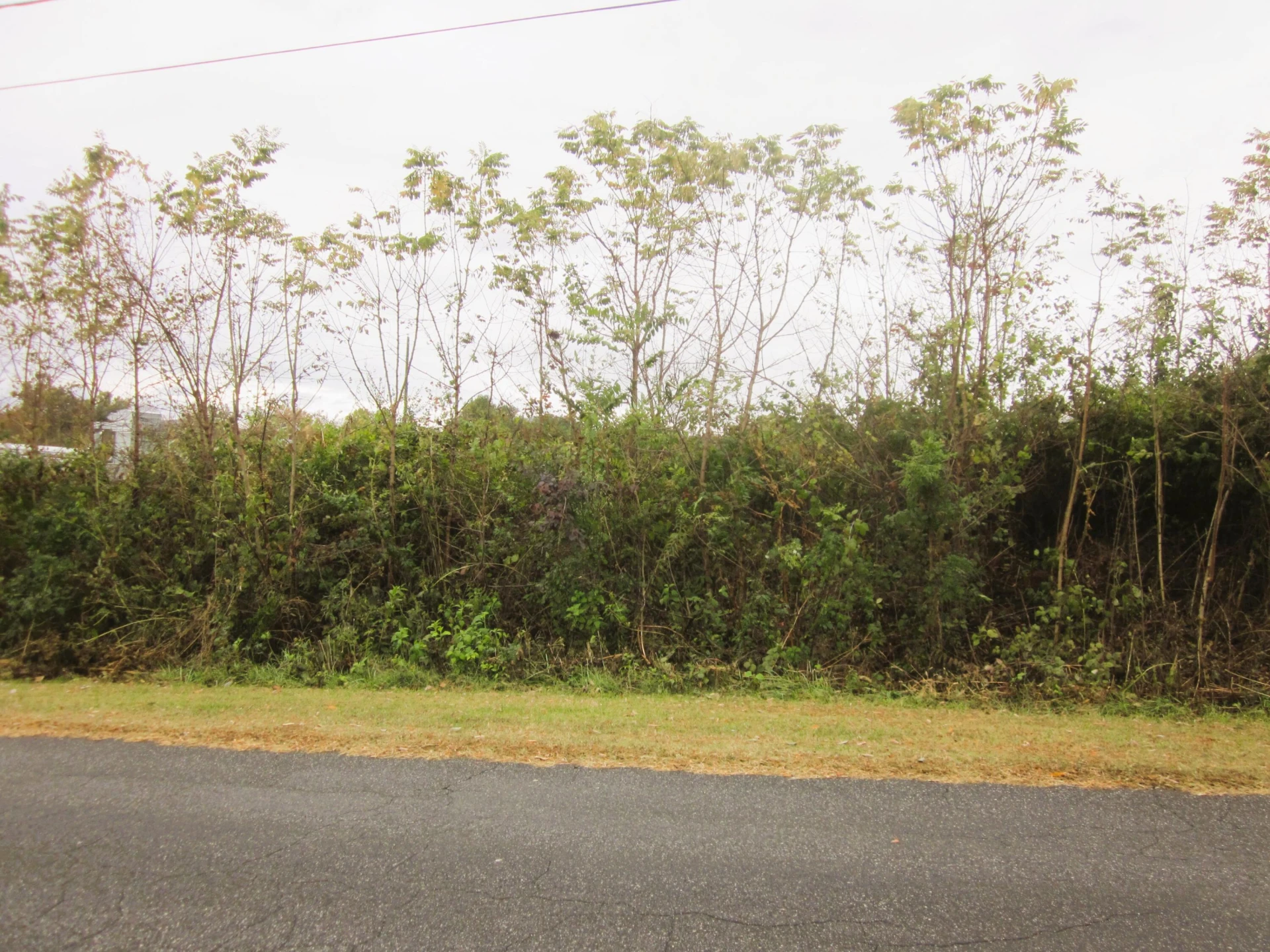 TBD HIGHFIELD RD - Photo 5