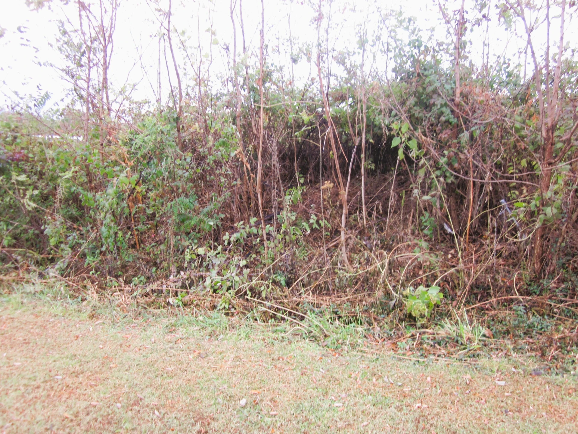 TBD HIGHFIELD RD - Photo 6