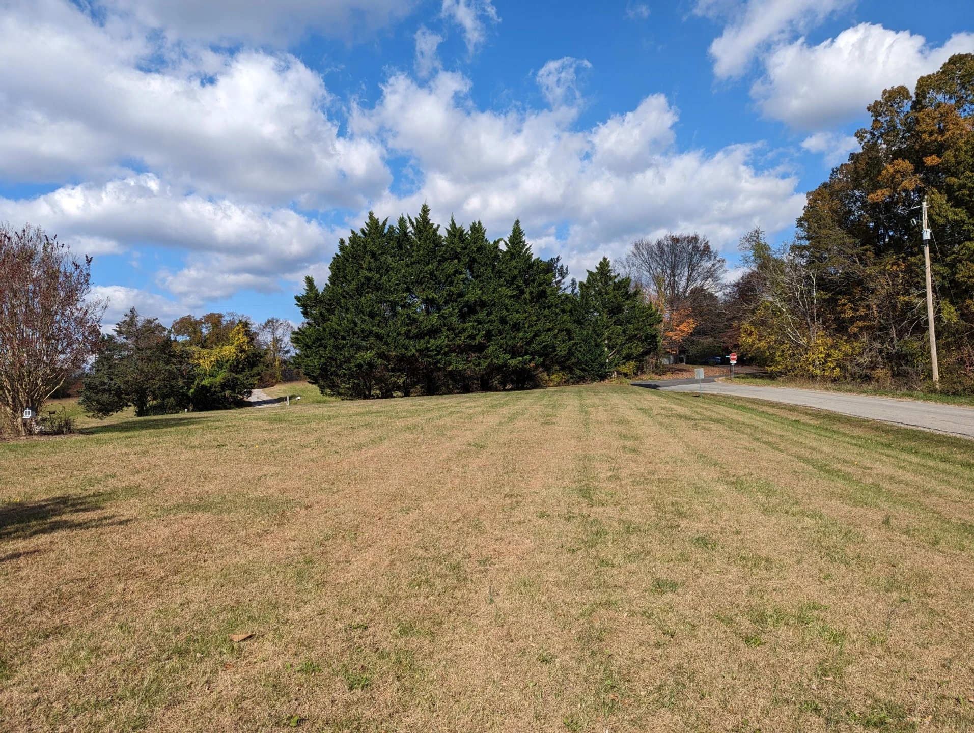 80 Bonbrook RD - Photo 36