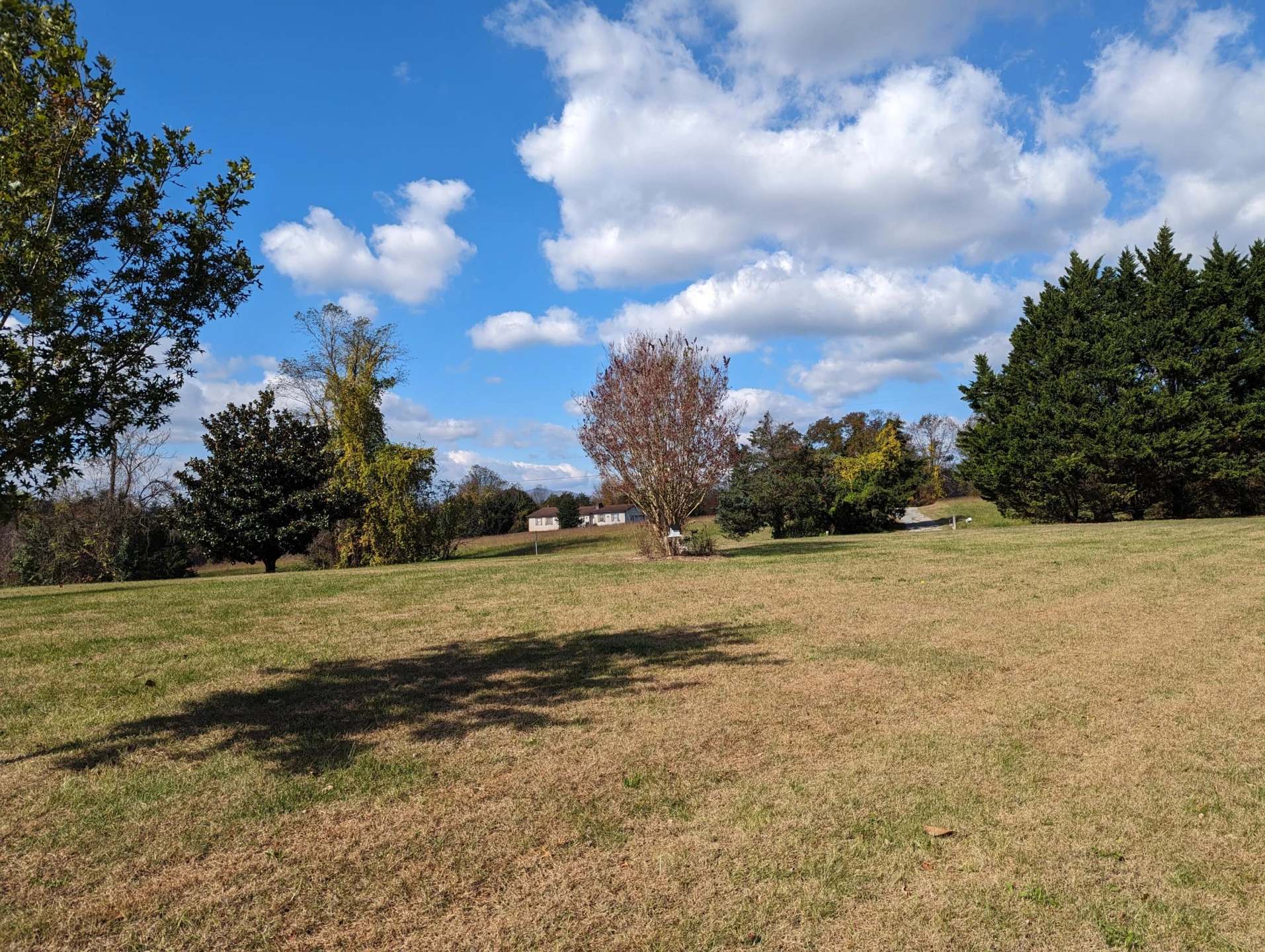 80 Bonbrook RD - Photo 37