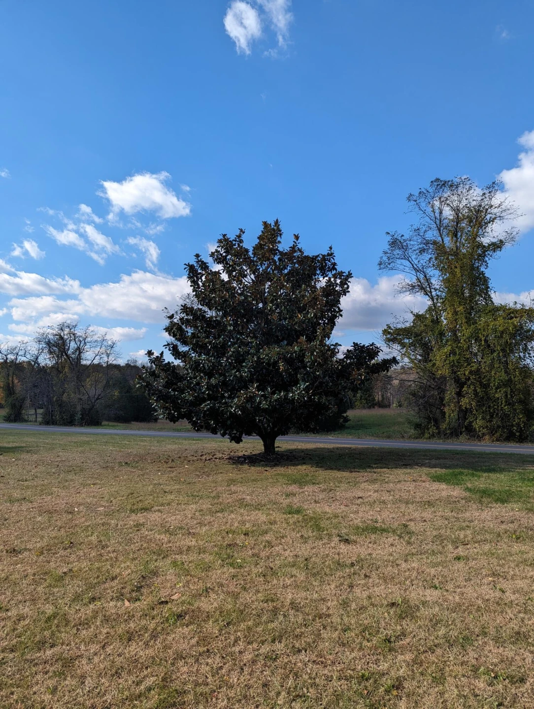 80 Bonbrook RD - Photo 38