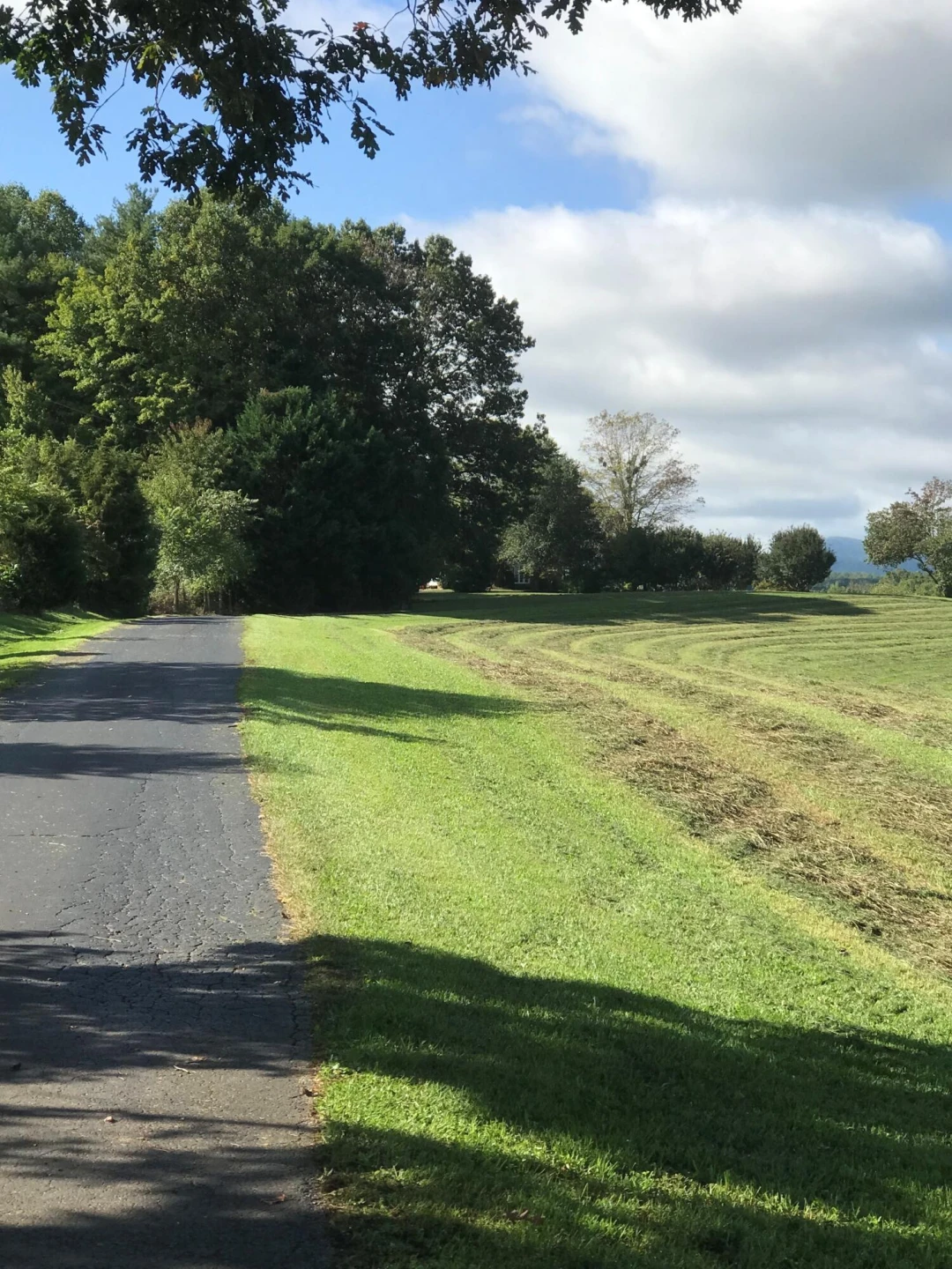 715 Rockland RD - Photo 117