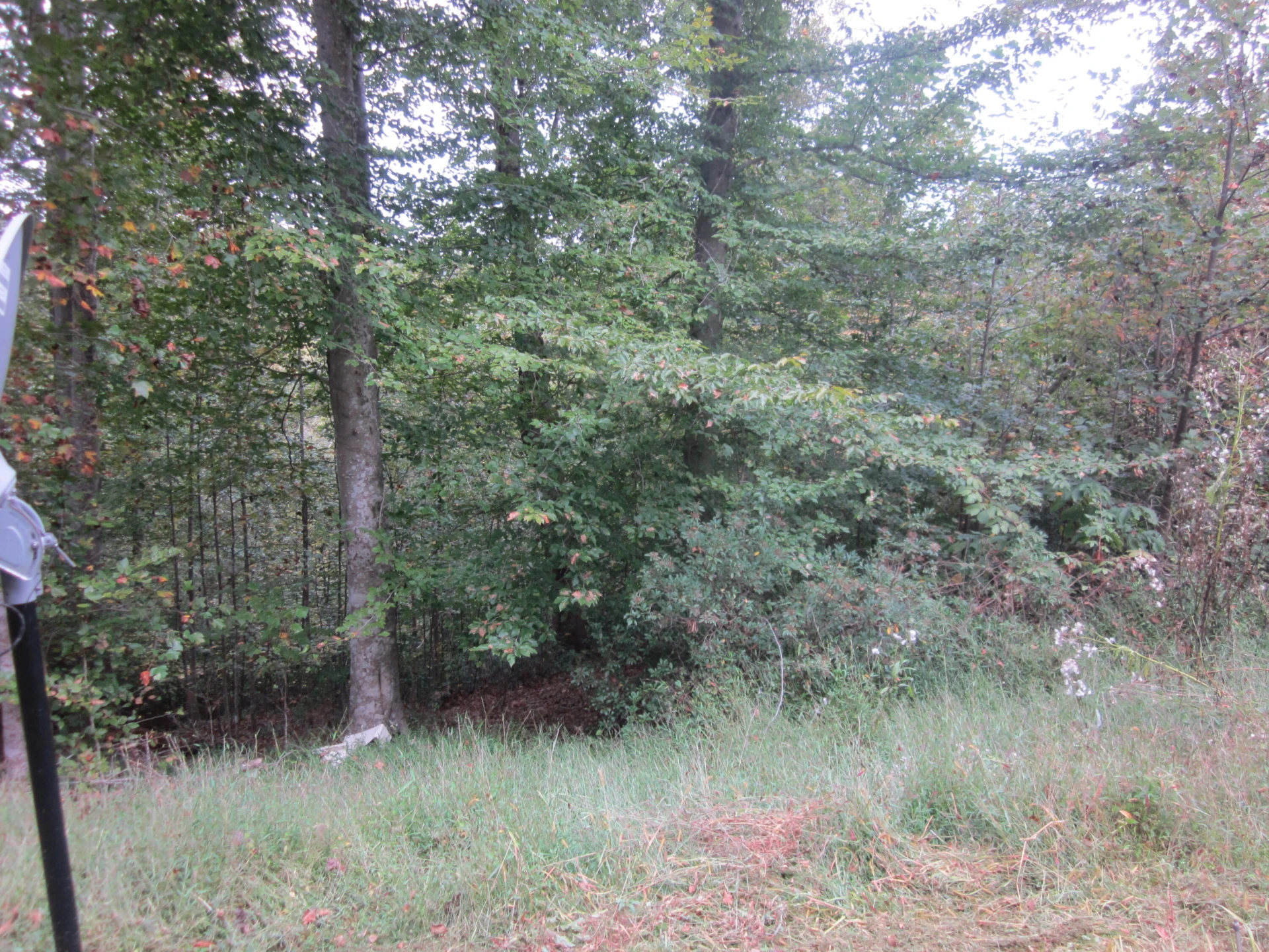 905 BLACK ROCK RD - Photo 3