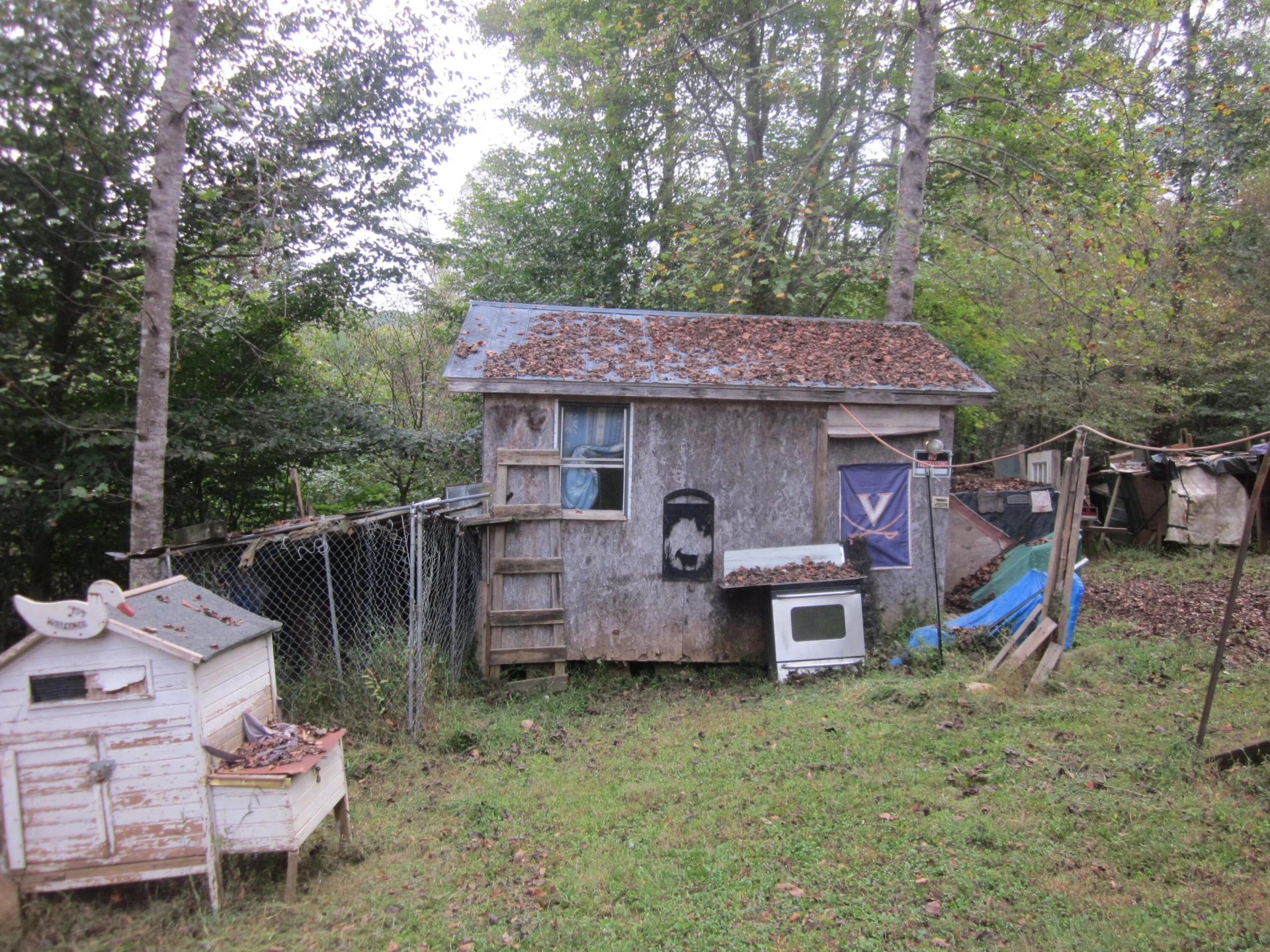 905 BLACK ROCK RD - Photo 4