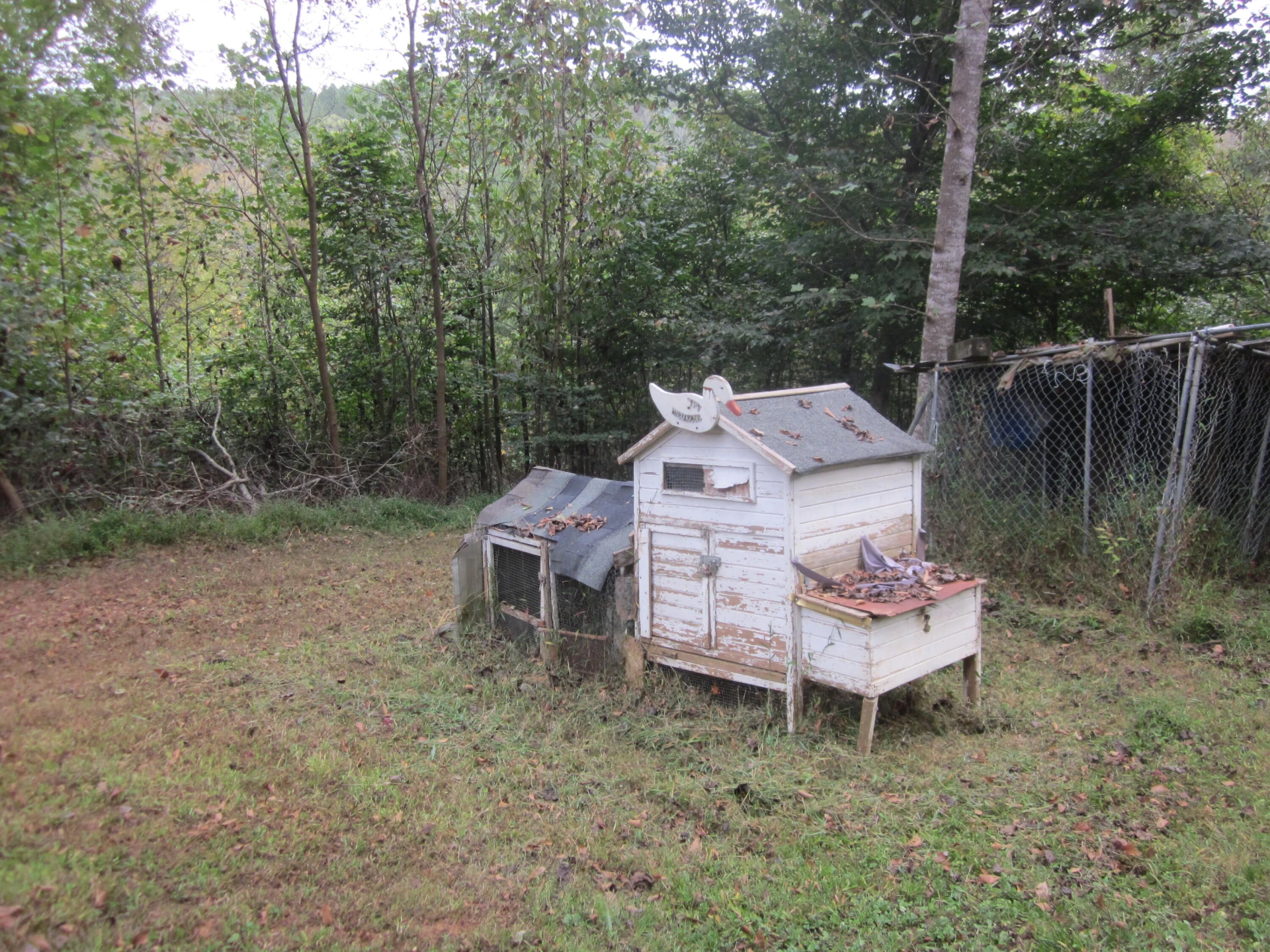 905 BLACK ROCK RD - Photo 5