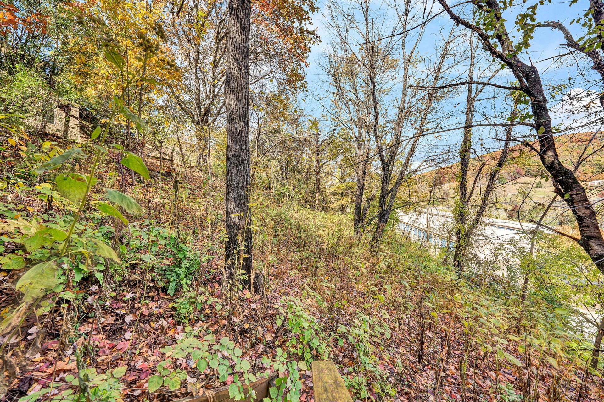 143 LENOX CIR - Photo 43