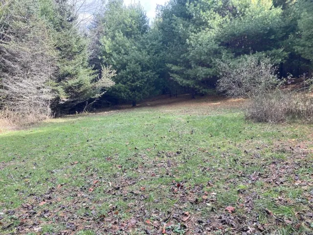 TBD Merifield RD, Willis, VA, 24380