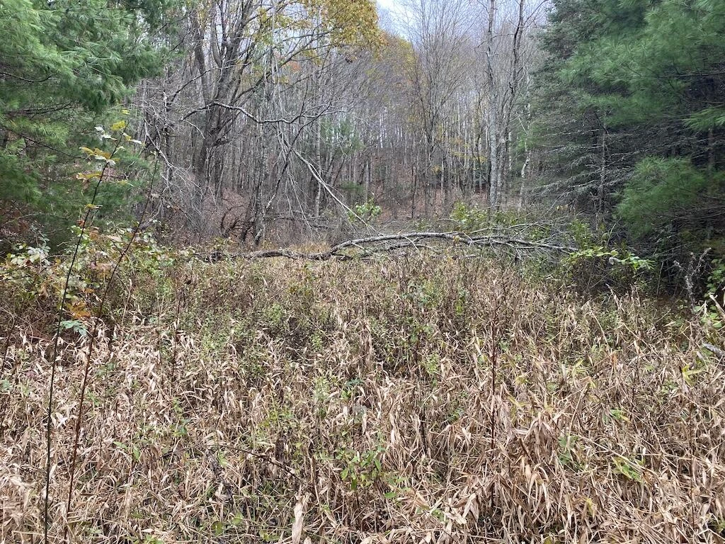 TBD Merifield RD - Photo 23