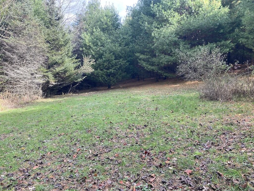 TBD Merifield RD - Photo 4