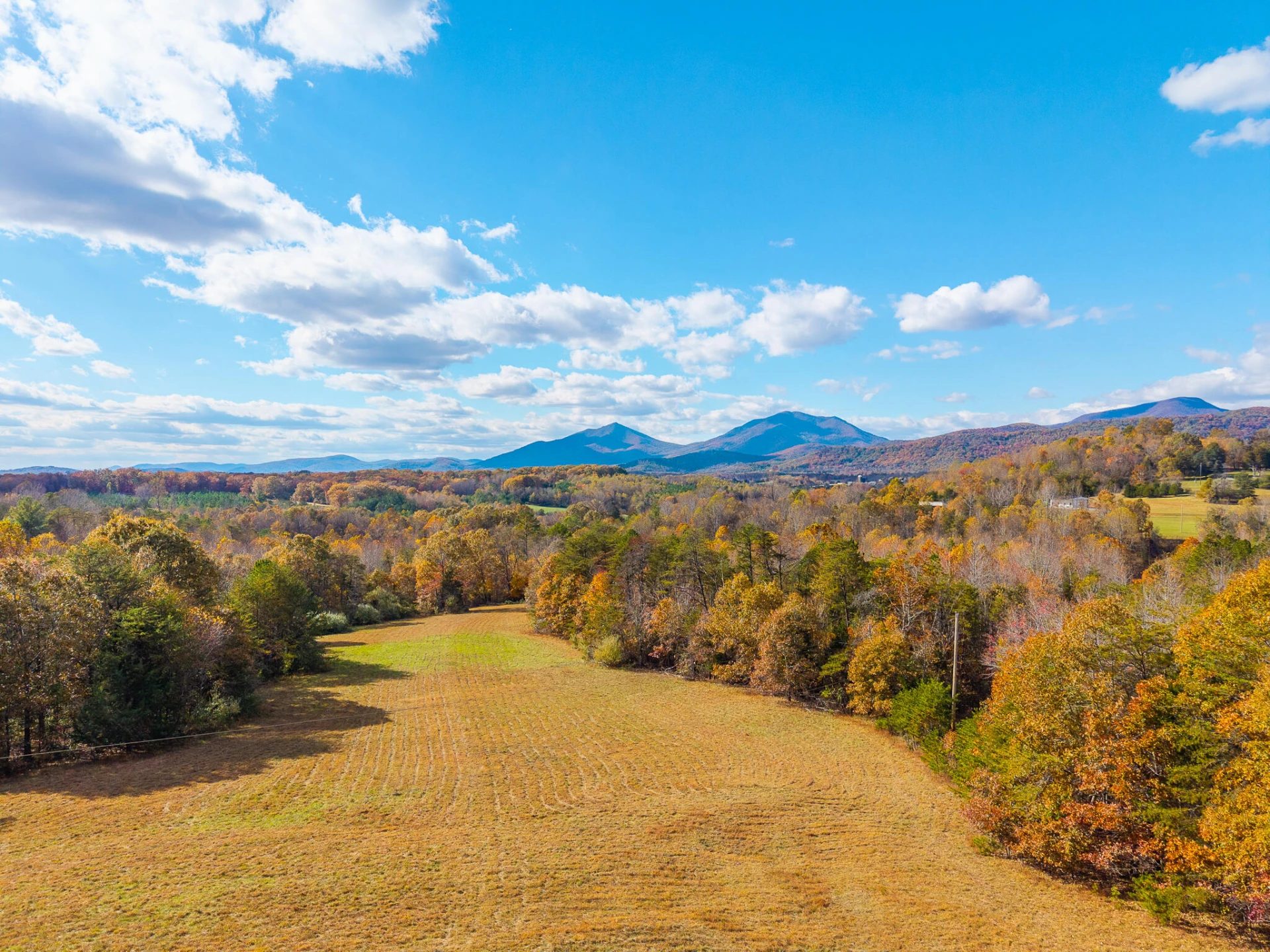 2716 Lazenbury RD - Photo 10