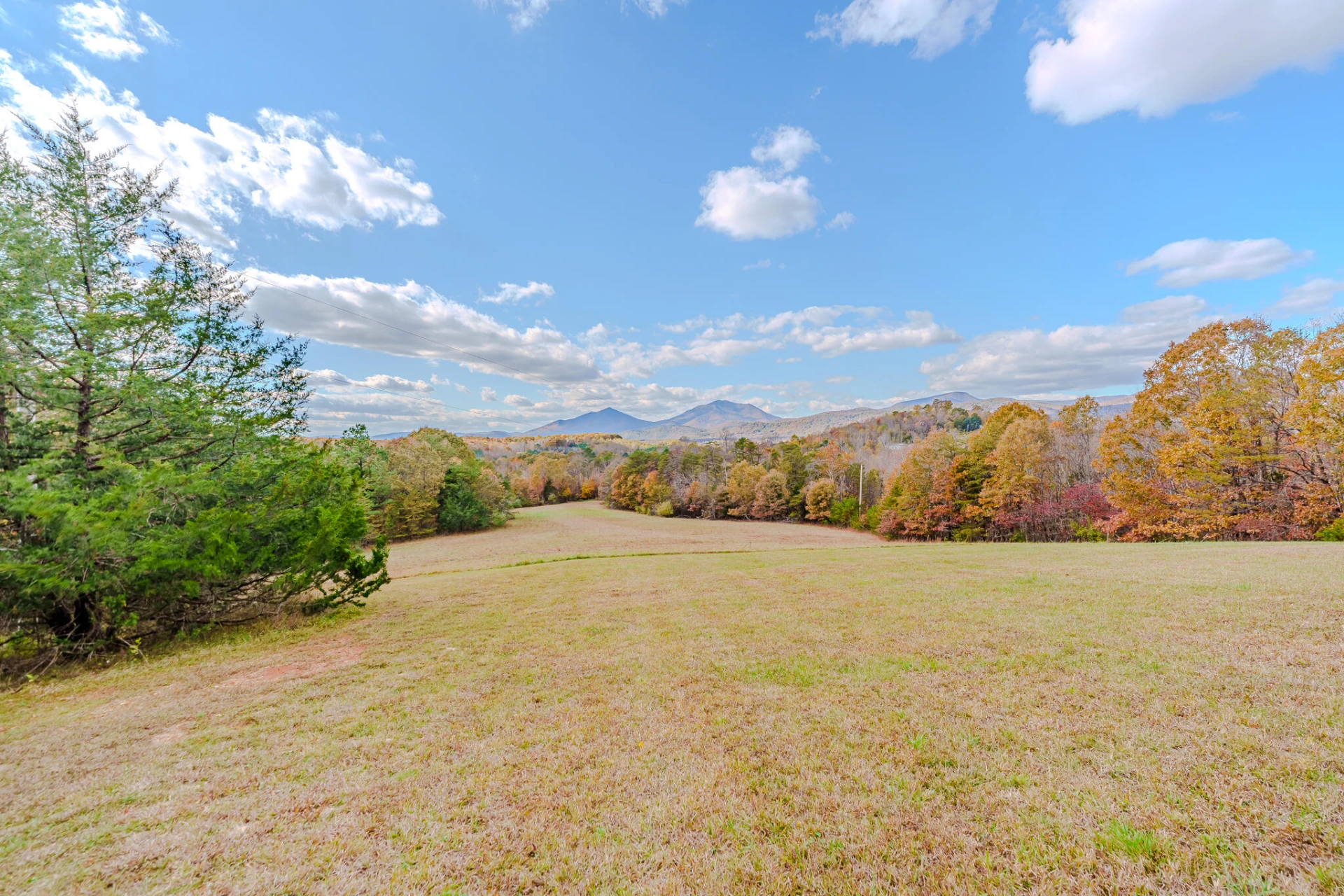 2716 Lazenbury RD - Photo 25