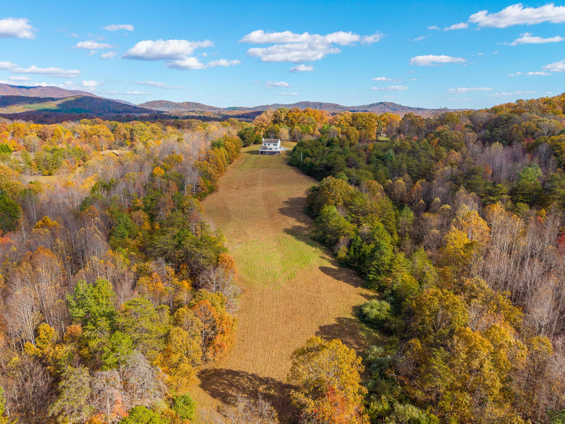 2716 Lazenbury RD - Photo 4