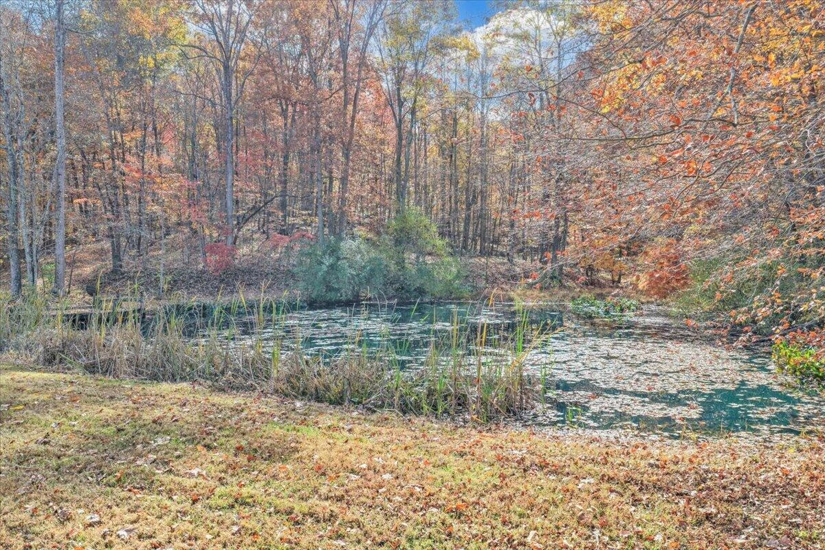 6548 Goodview RD - Photo 84