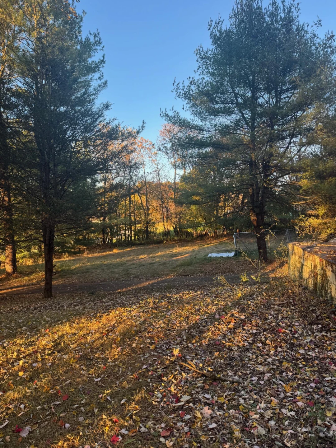 5866 Mountain Pass RD - Photo 3