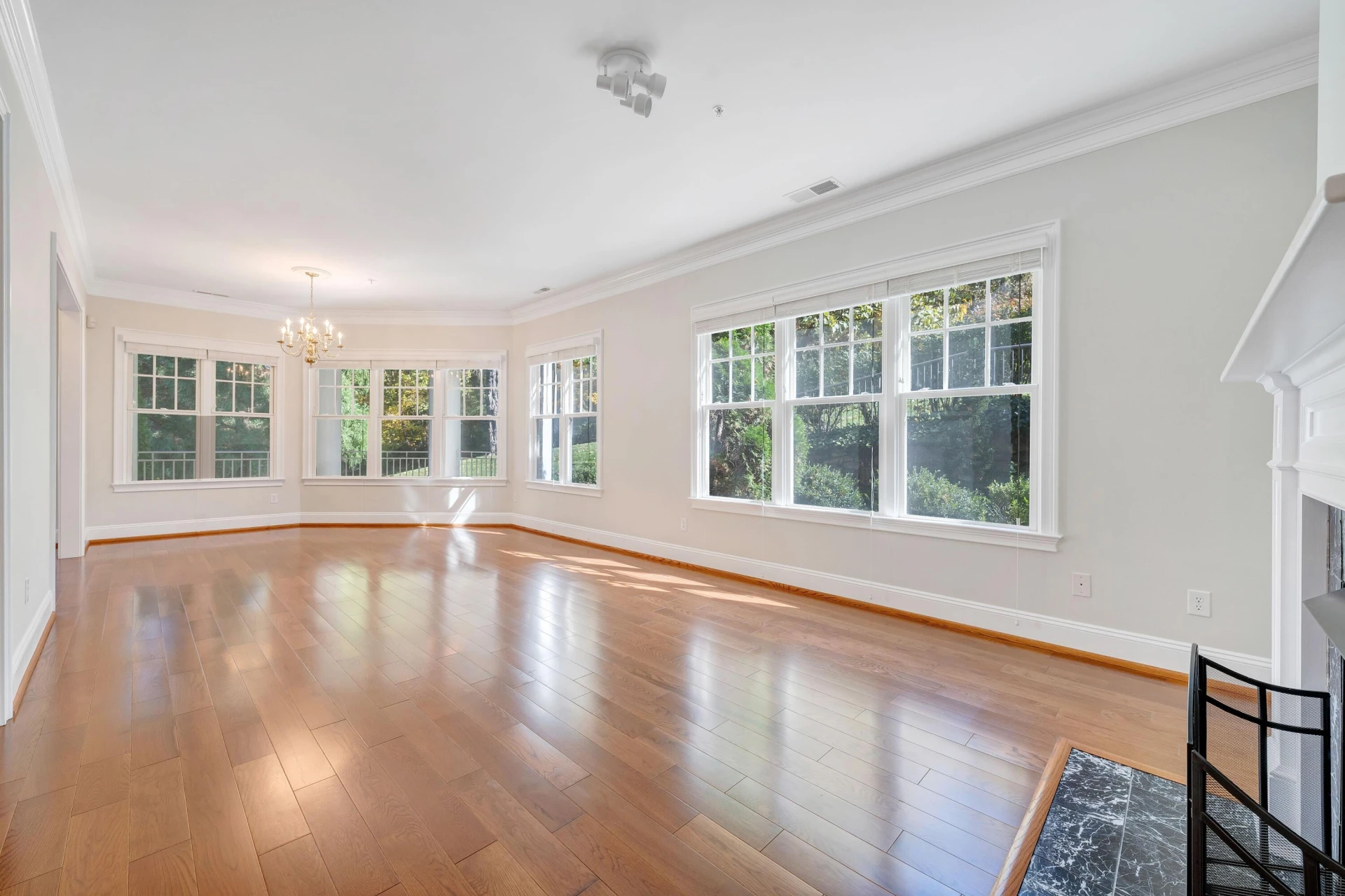 2125 Yellow Mountain RD #203 - Photo 7