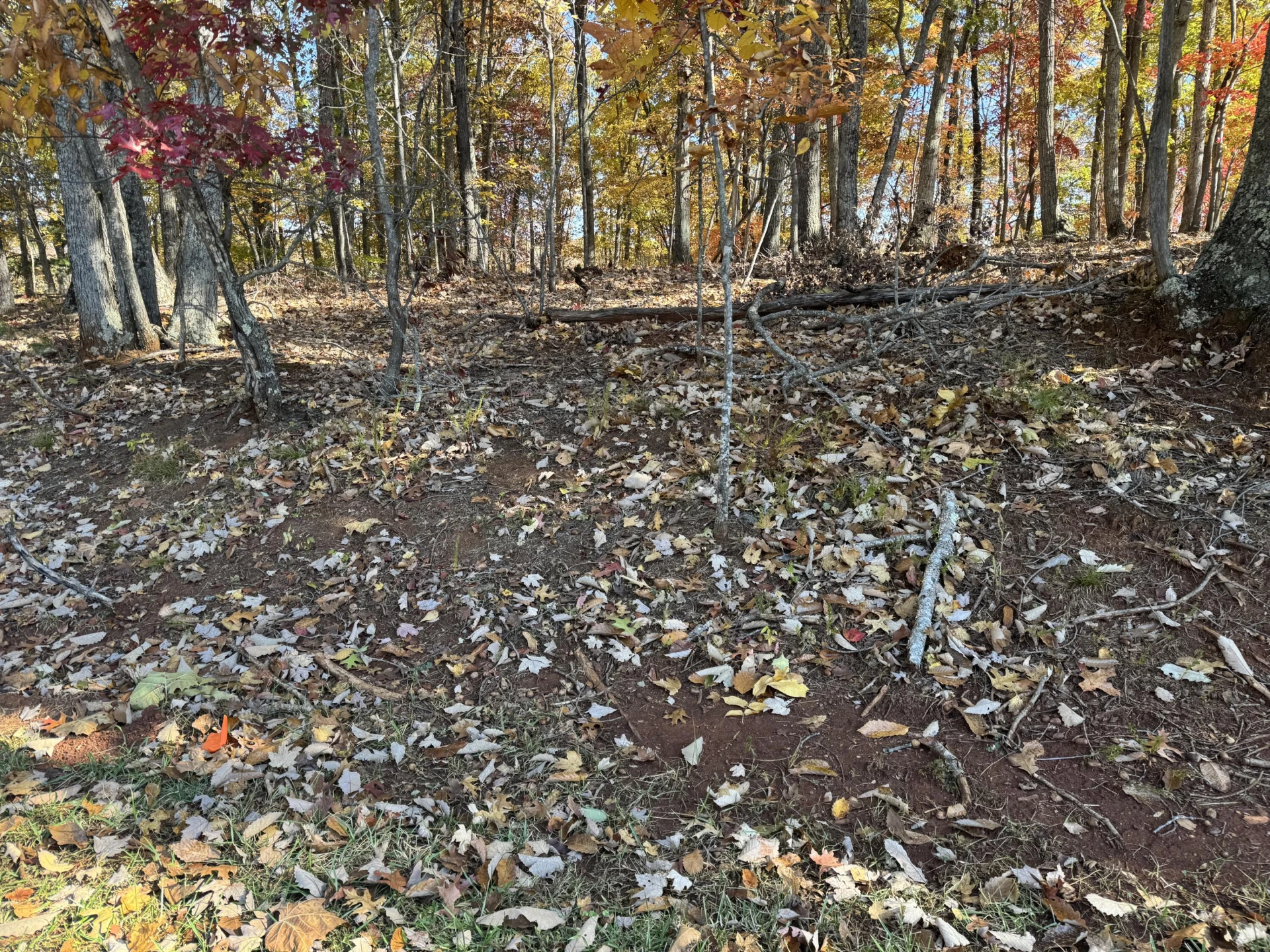 Lot2 Snidow DR - Photo 4