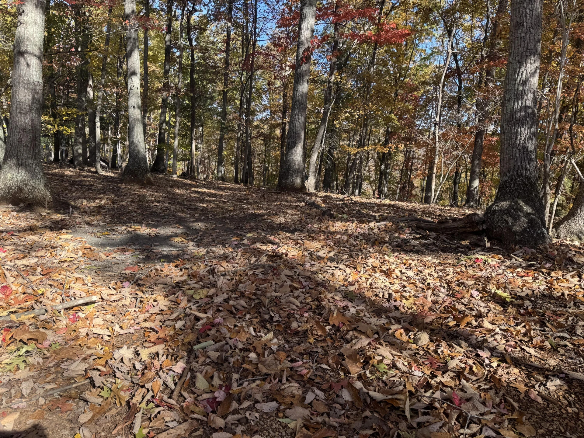 Lot2 Snidow DR - Photo 5