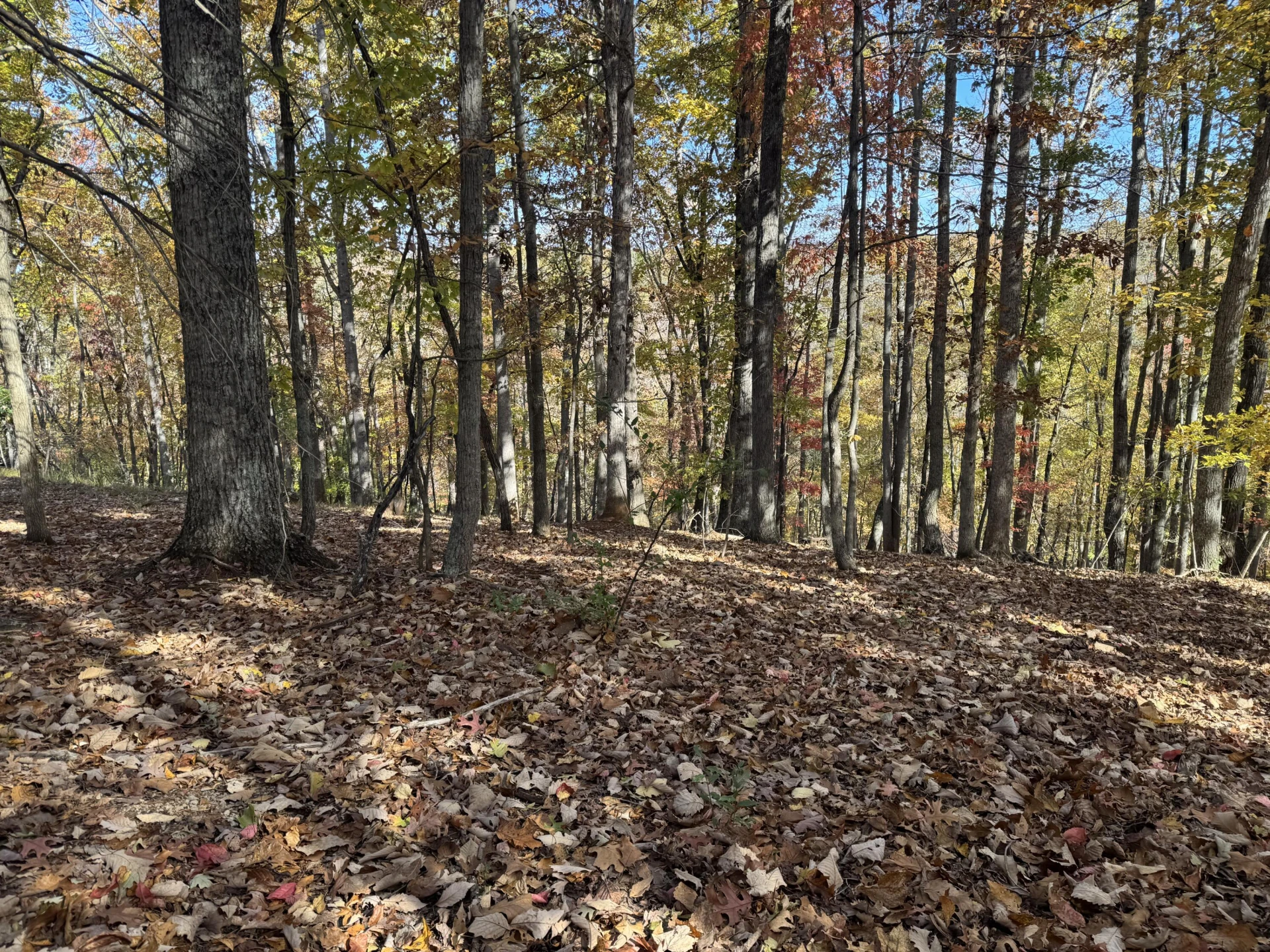 Lot2 Snidow DR - Photo 8