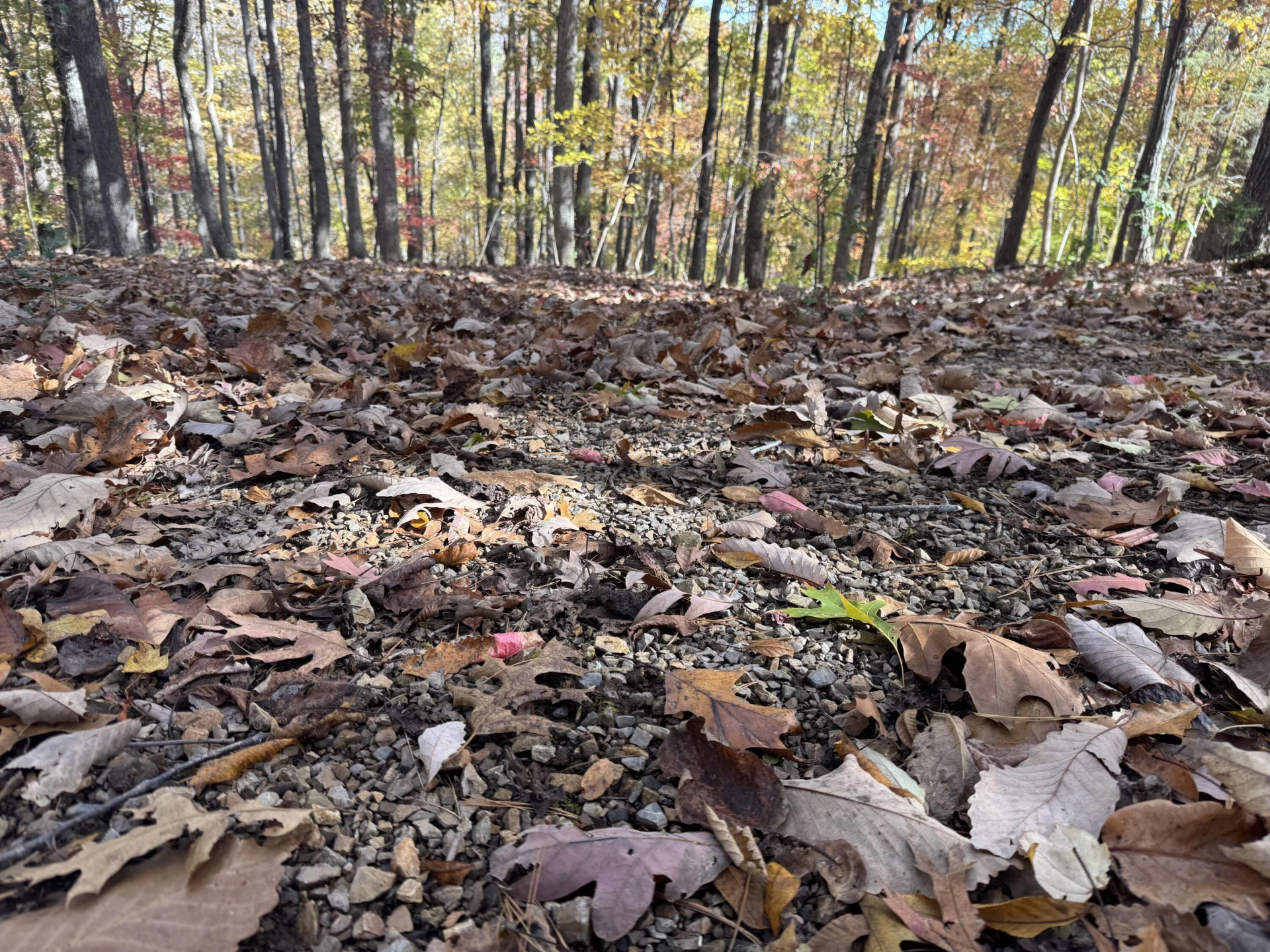 Lot2 Snidow DR - Photo 9