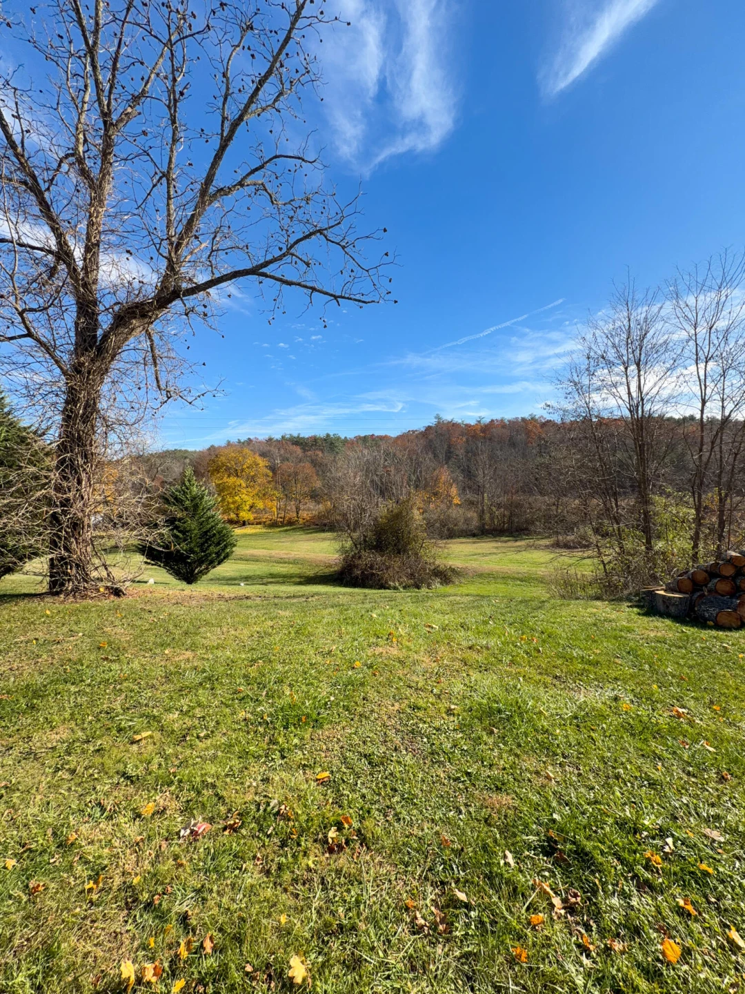 120 Lake View DR - Photo 5