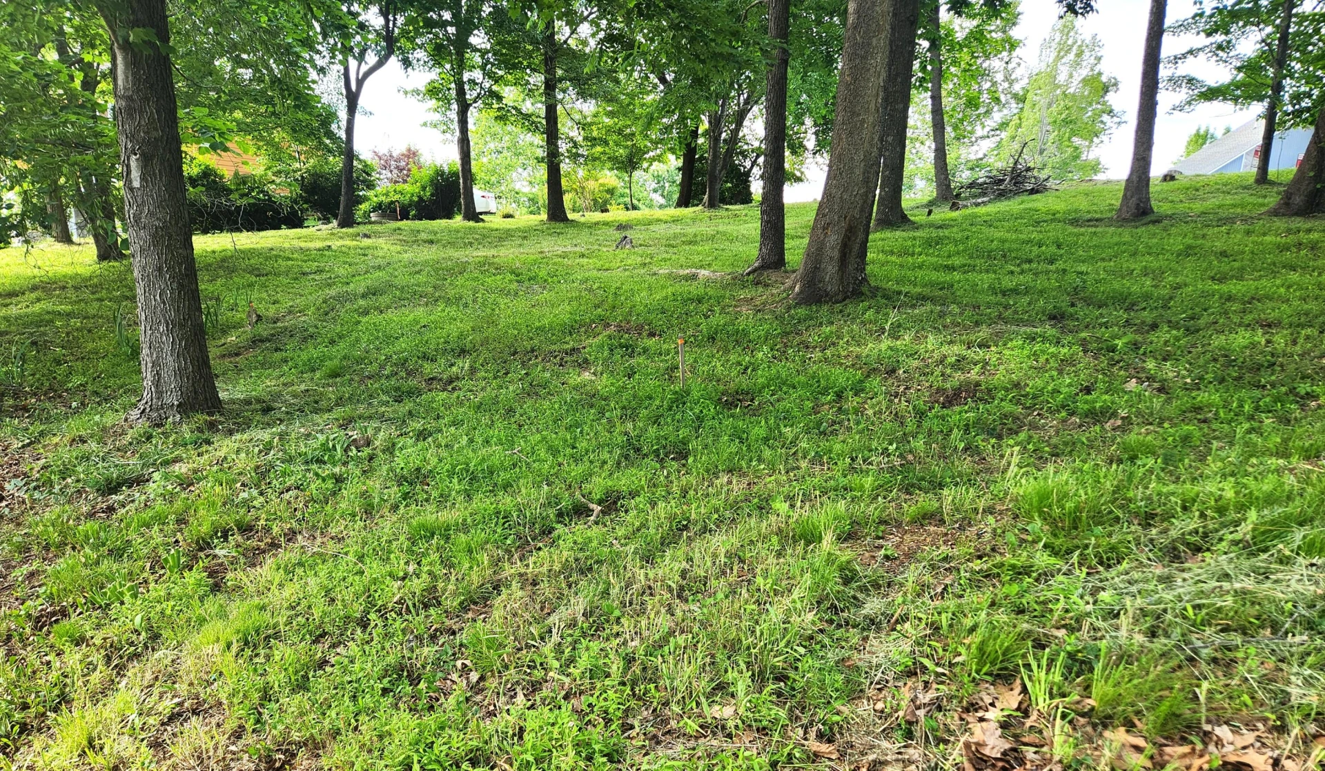 Lot 34 Pine Bay DR - Photo 5