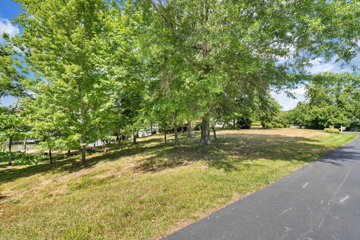 Lot 34 Pine Bay DR - Photo 6