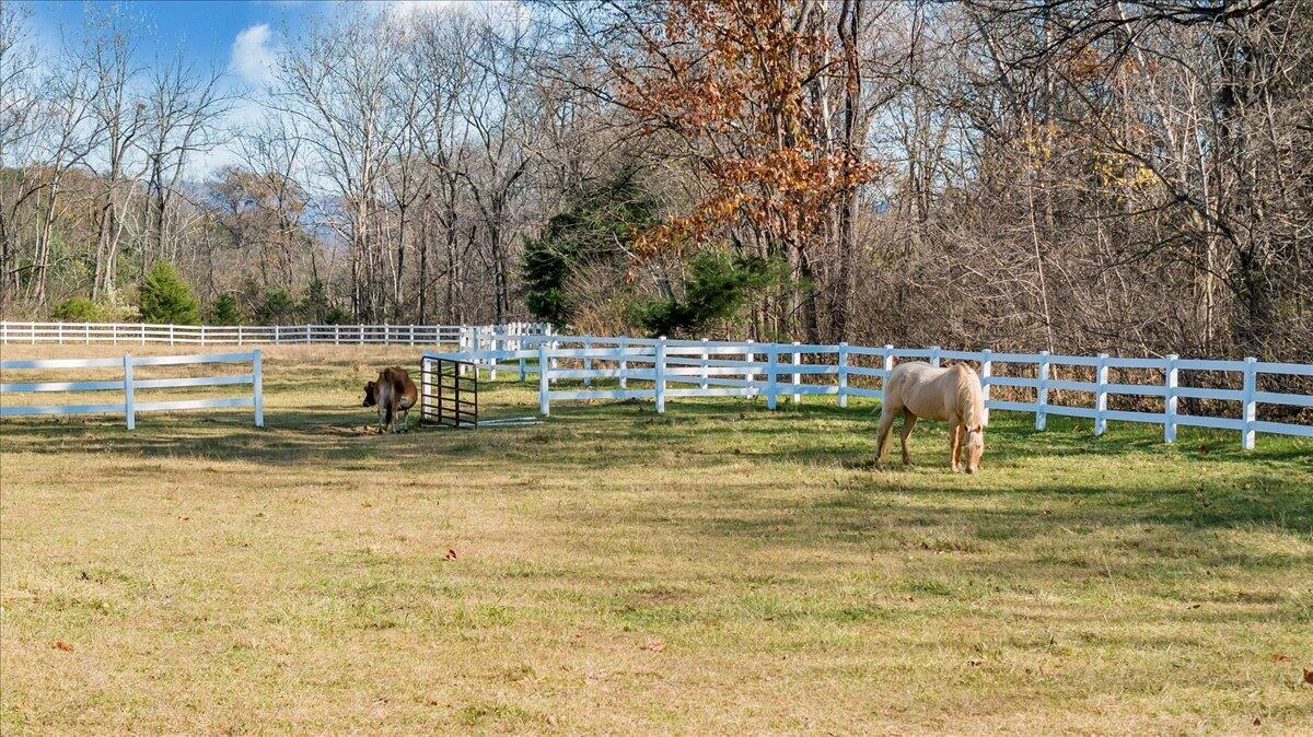 7758 Old Fincastle RD - Photo 71