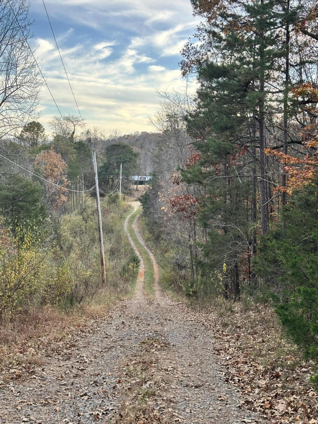 170 Glider WAY - Photo 10