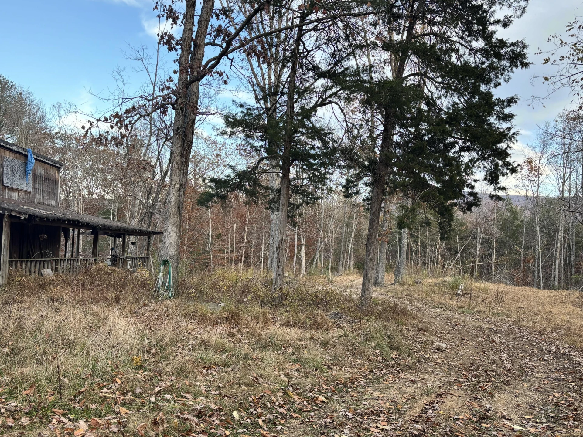 170 Glider WAY - Photo 3