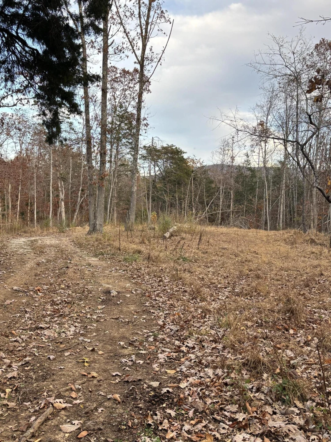 170 Glider WAY - Photo 4