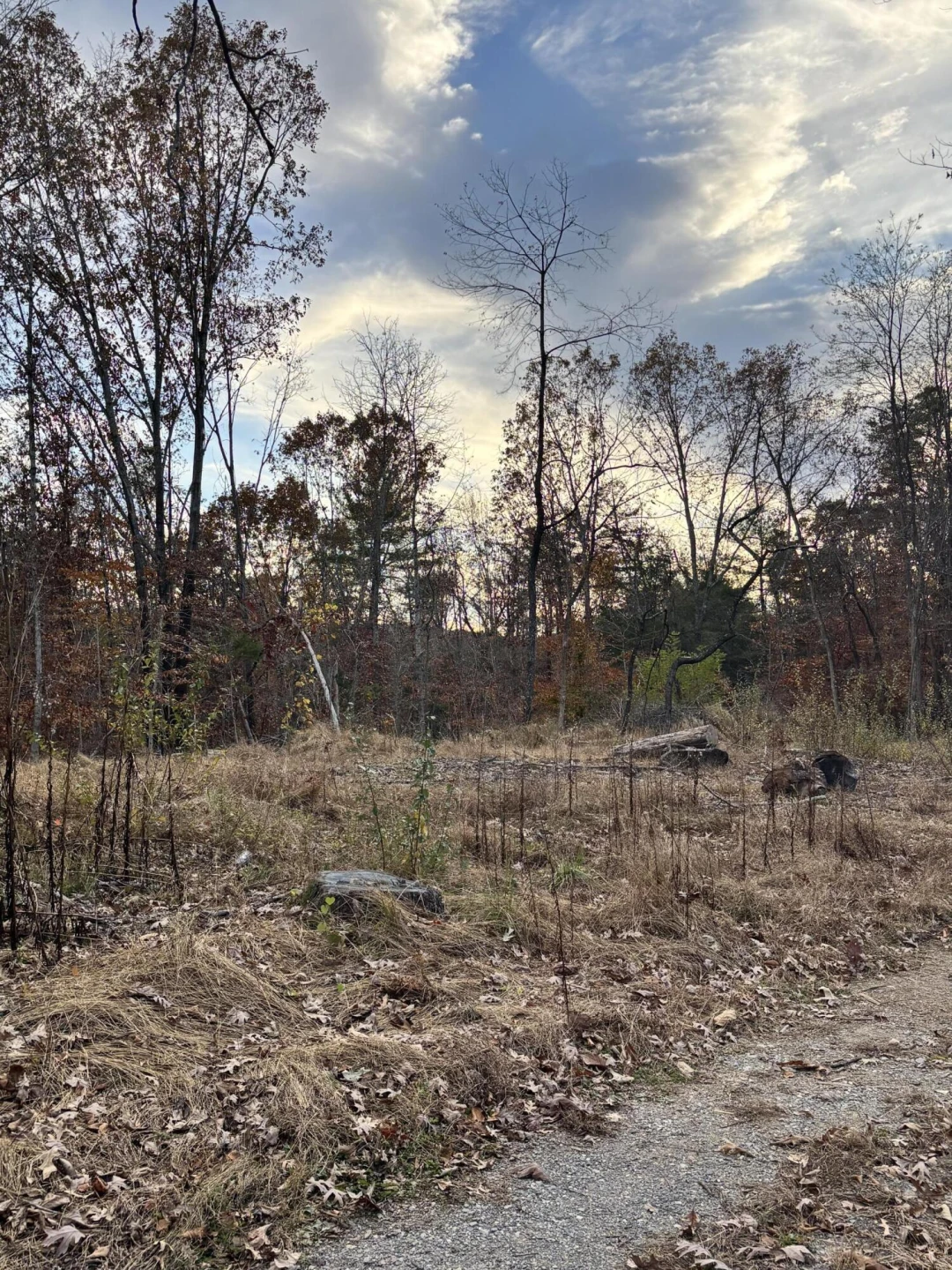 170 Glider WAY - Photo 6